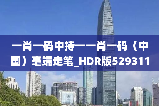 一肖一码中持一一肖一码（中国）毫端走笔_HDR版529311