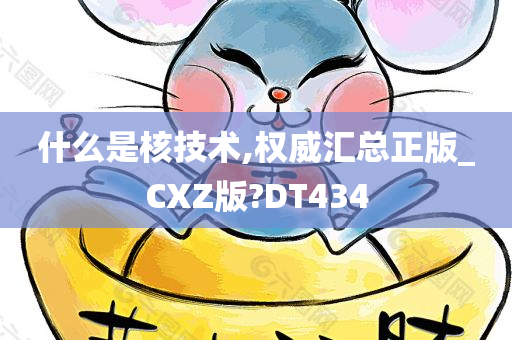 什么是核技术,权威汇总正版_CXZ版?DT434