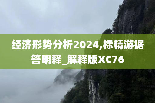 经济形势分析2024,标精游据答明释_解释版XC76