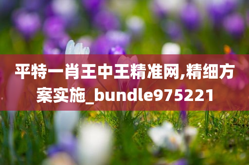 平特一肖王中王精准网,精细方案实施_bundle975221