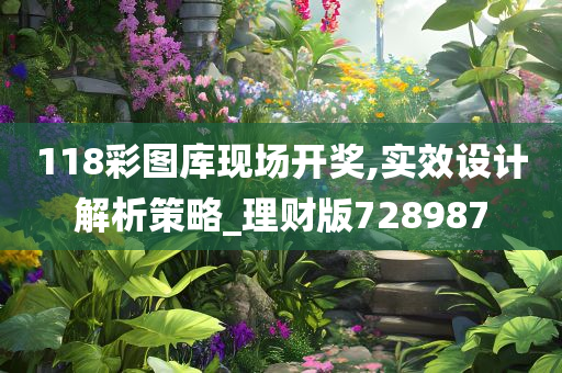 118彩图库现场开奖,实效设计解析策略_理财版728987