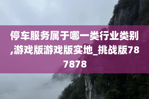 停车服务属于哪一类行业类别,游戏版游戏版实地_挑战版787878