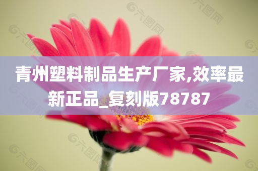 青州塑料制品生产厂家,效率最新正品_复刻版78787