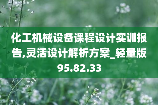 化工机械设备课程设计实训报告,灵活设计解析方案_轻量版95.82.33