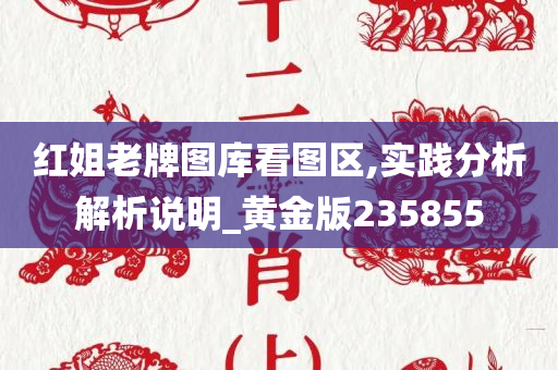 红姐老牌图库看图区,实践分析解析说明_黄金版235855