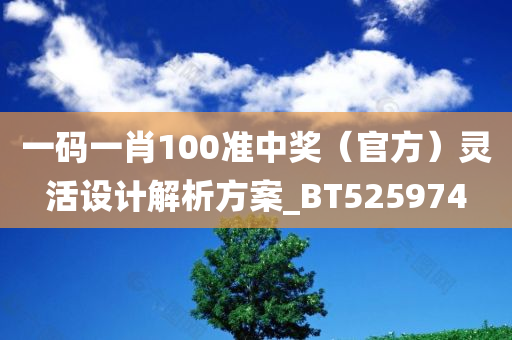 一码一肖100准中奖（官方）灵活设计解析方案_BT525974