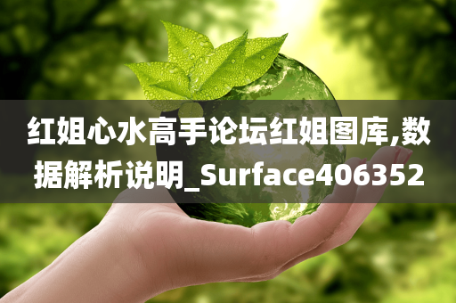 红姐心水高手论坛红姐图库,数据解析说明_Surface406352