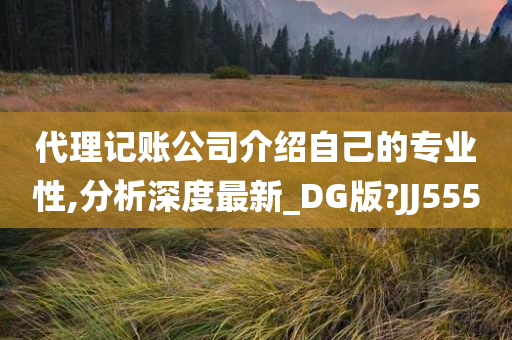 代理记账公司介绍自己的专业性,分析深度最新_DG版?JJ555