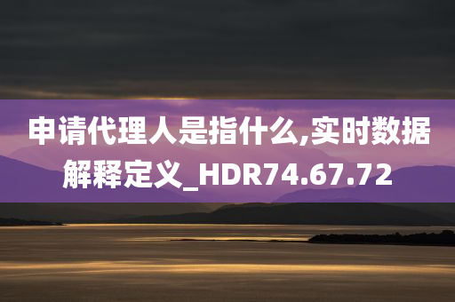 申请代理人是指什么,实时数据解释定义_HDR74.67.72