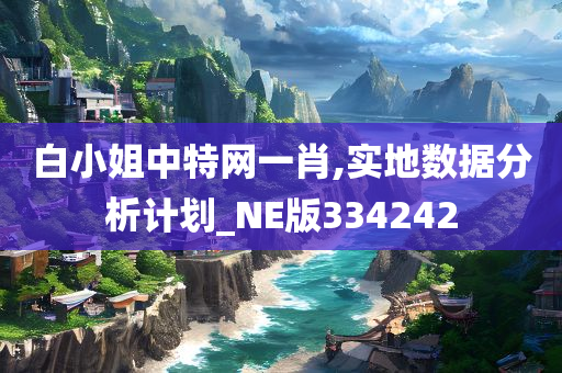 白小姐中特网一肖,实地数据分析计划_NE版334242