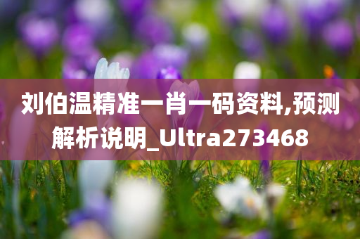 刘伯温精准一肖一码资料,预测解析说明_Ultra273468