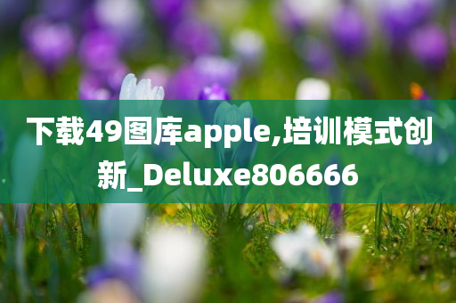 下载49图库apple,培训模式创新_Deluxe806666