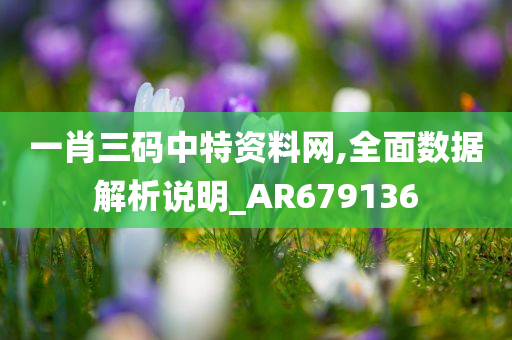 一肖三码中特资料网,全面数据解析说明_AR679136