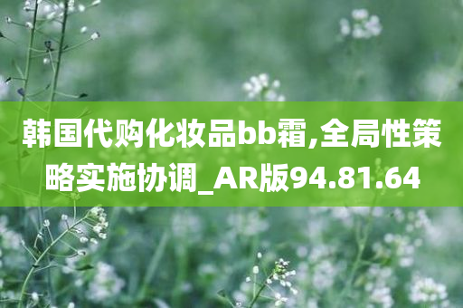 韩国代购化妆品bb霜,全局性策略实施协调_AR版94.81.64