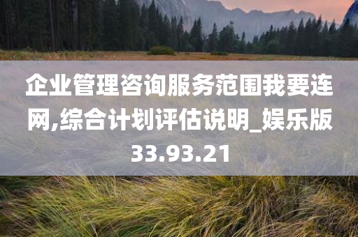 企业管理咨询服务范围我要连网,综合计划评估说明_娱乐版33.93.21