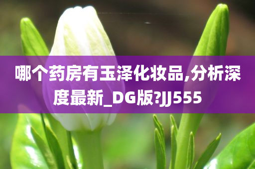 哪个药房有玉泽化妆品,分析深度最新_DG版?JJ555