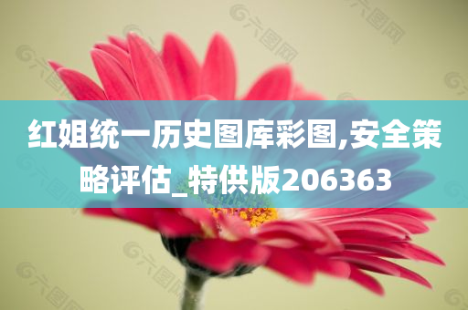 红姐统一历史图库彩图,安全策略评估_特供版206363