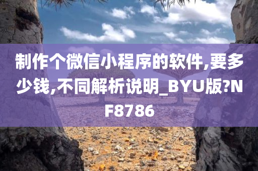 制作个微信小程序的软件,要多少钱,不同解析说明_BYU版?NF8786