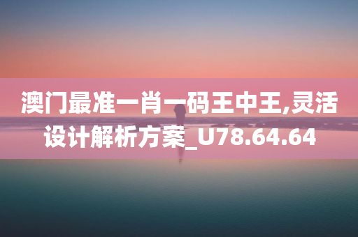 澳门最准一肖一码王中王,灵活设计解析方案_U78.64.64