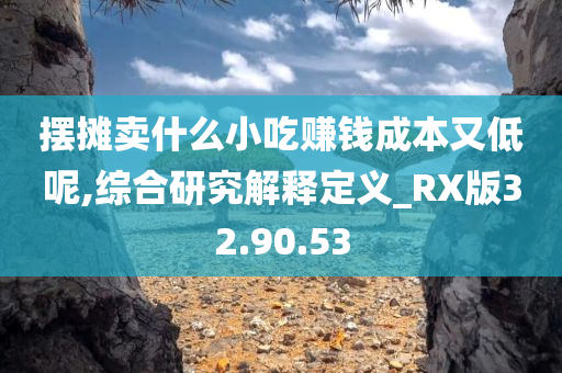 摆摊卖什么小吃赚钱成本又低呢,综合研究解释定义_RX版32.90.53