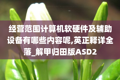 经营范围计算机软硬件及辅助设备有哪些内容呢,英正释详全落_解甲归田版ASD2