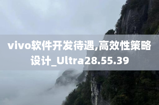 vivo软件开发待遇,高效性策略设计_Ultra28.55.39