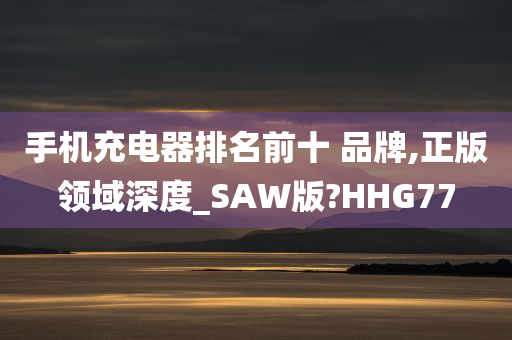 手机充电器排名前十 品牌,正版领域深度_SAW版?HHG77