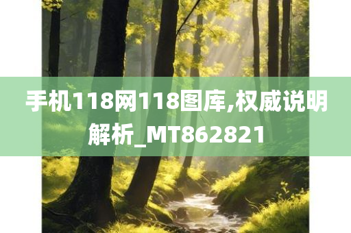 手机118网118图库,权威说明解析_MT862821