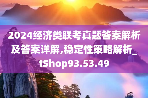 2024经济类联考真题答案解析及答案详解,稳定性策略解析_tShop93.53.49