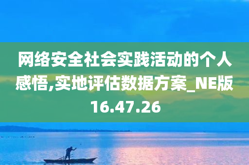 网络安全社会实践活动的个人感悟,实地评估数据方案_NE版16.47.26