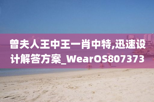 曾夫人王中王一肖中特,迅速设计解答方案_WearOS807373