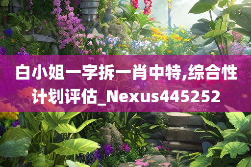 白小姐一字拆一肖中特,综合性计划评估_Nexus445252