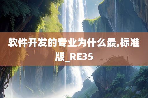 软件开发的专业为什么最,标准版_RE35