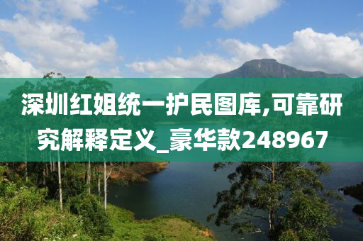 深圳红姐统一护民图库,可靠研究解释定义_豪华款248967