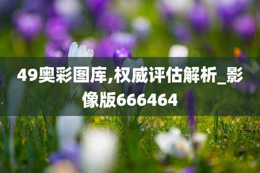 49奥彩图库,权威评估解析_影像版666464