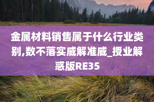 金属材料销售属于什么行业类别,数不落实威解准威_授业解惑版RE35