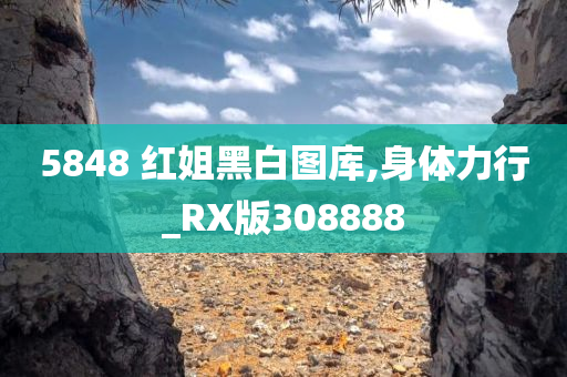 5848 红姐黑白图库,身体力行_RX版308888