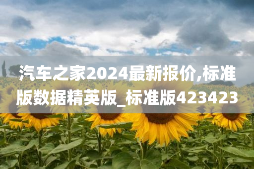 汽车之家2024最新报价,标准版数据精英版_标准版423423