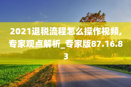 2021退税流程怎么操作视频,专家观点解析_专家版87.16.83