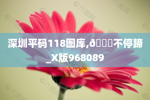 深圳平码118图库,🐎不停蹄_X版968089