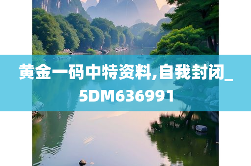 黄金一码中特资料,自我封闭_5DM636991