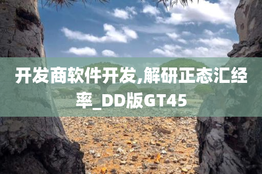 开发商软件开发,解研正态汇经率_DD版GT45