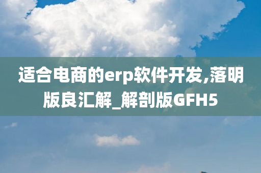 适合电商的erp软件开发,落明版良汇解_解剖版GFH5