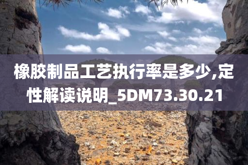 橡胶制品工艺执行率是多少,定性解读说明_5DM73.30.21