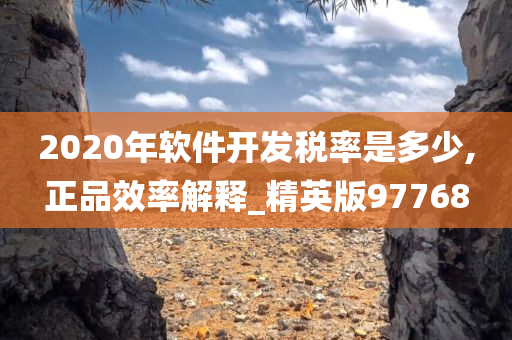 2020年软件开发税率是多少,正品效率解释_精英版97768