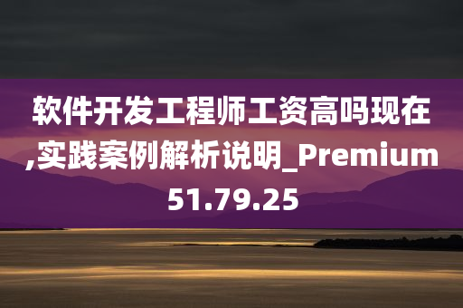 软件开发工程师工资高吗现在,实践案例解析说明_Premium51.79.25