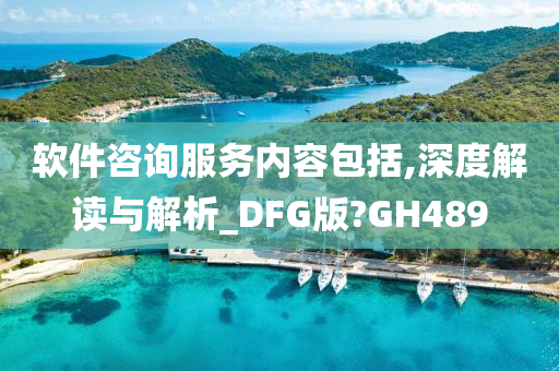 软件咨询服务内容包括,深度解读与解析_DFG版?GH489