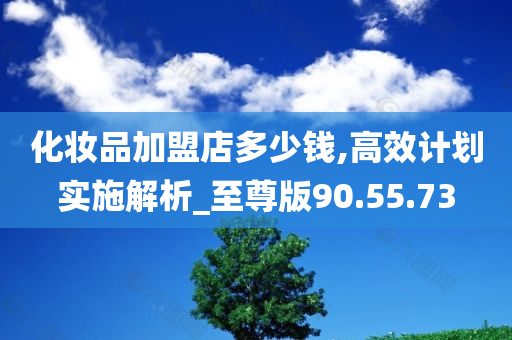 化妆品加盟店多少钱,高效计划实施解析_至尊版90.55.73