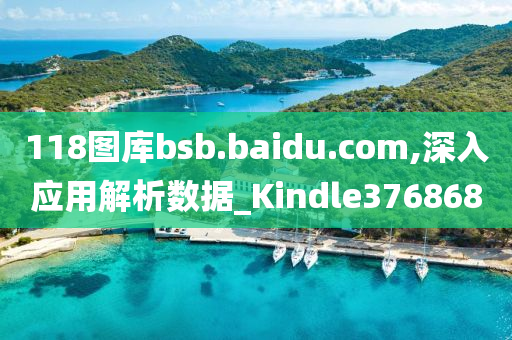 118图库bsb.baidu.com,深入应用解析数据_Kindle376868