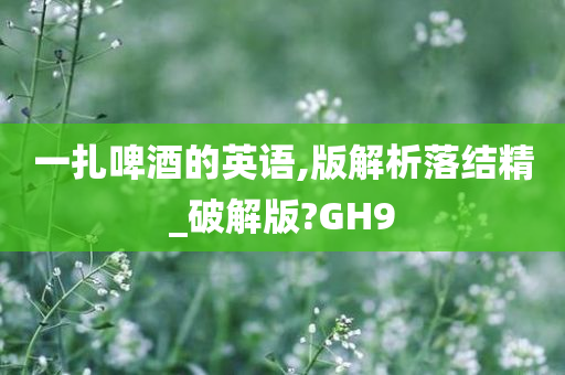 一扎啤酒的英语,版解析落结精_破解版?GH9